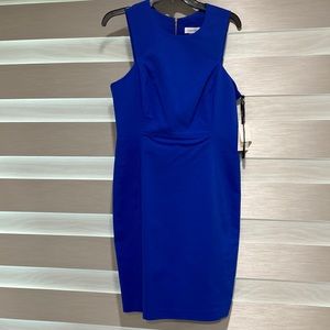 NWT Calvin Klein Royal blue zipper dress size 10